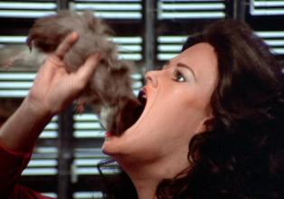 Diana eats a guinea pig