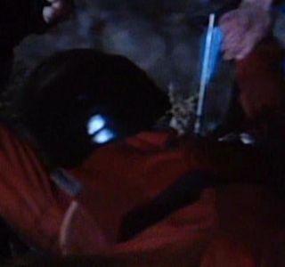 Visitor body with twig